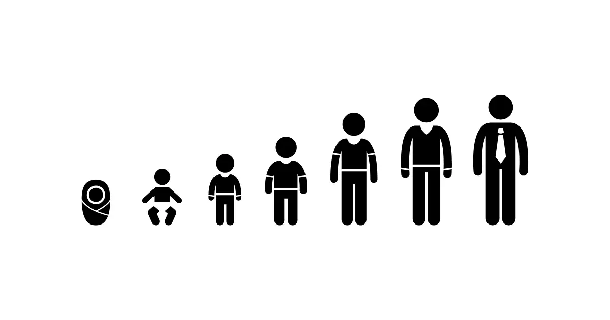 Stages In Life